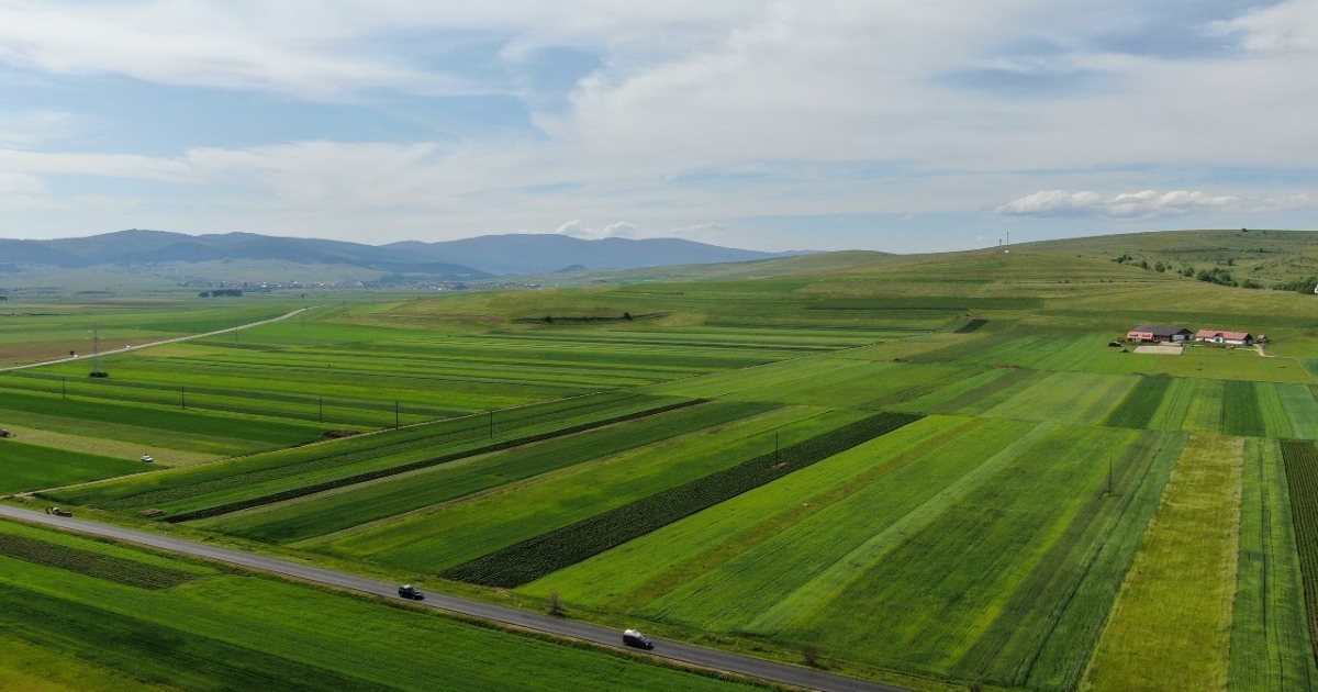Hargita megye zöld aranya: A gyepterület